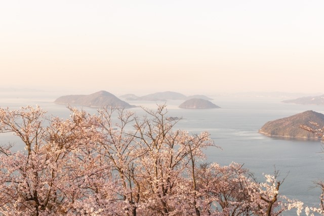 世界のメディアが認めた！日本の絶景  「三豊市紫雲出山の桜」
